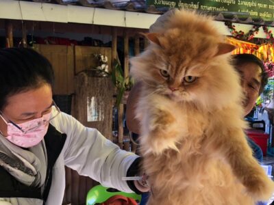 Read more about the article โครงการป้องกันและควบคุมโรคพิษสุนัขบ้าตำบลหนองควาย ประจำปี 2568