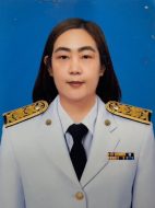 หัวหน้าฝ่ายสาธารณสุข หัวหน้าฝ่ายสาธารณสุข